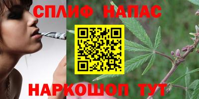 соль ск Дубна